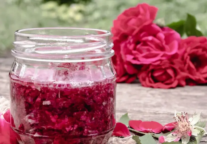 Jak zrobić aromatyczną herbatę z płatków róży: prosty przepis krok po kroku