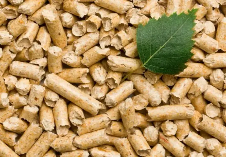 Jak produkować pellet: Kluczowe materiały i maszyny, które musisz znać