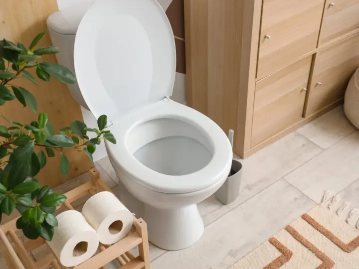 Toilettes blanches avec couvercle ouvert, rouleaux de papier toilette sur un support en bois, plante verte et meuble de rangement en bois. La largeur du WC est standard.