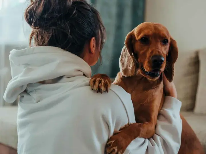 Un perro marrón abraza a su dueña, una forma tierna de saber si mi perro me quiere. Su pata descansa en su hombro.