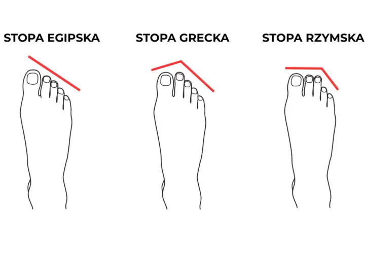 Ilustracja przedstawia trzy rodzaje stóp: egipską, grecką i rzymską, z zaznaczonymi liniami pokazującymi kształt palców.