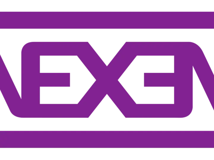 Logo viola con scritta NEXEN. Nexen Group è un'azienda che produce pneumatici.