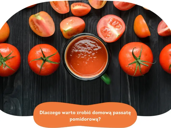 Świeże pomidory i miseczka domowej passaty pomidorowej. Poznaj przepis na najlepszą passatę!