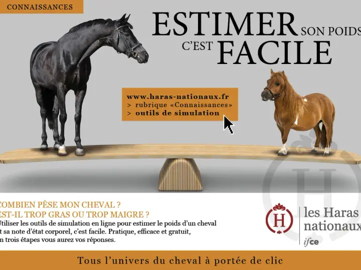 Un grand cheval noir et un petit poney brun sont sur une balance. Estimer le poids cheval est facile avec les outils en ligne des Haras Nationaux.