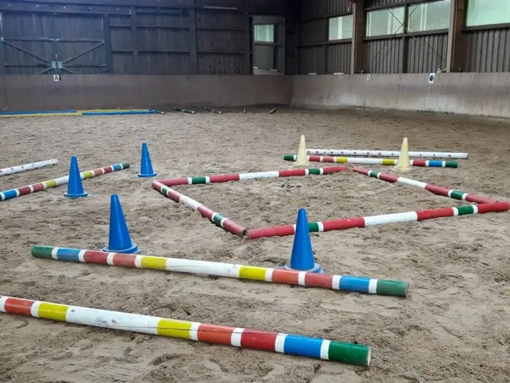 Bunte Stangen und blaue Kegel bilden einen Parcours in einer Reithalle. Der **Abstand der Trabstangen** ist für das Training eines Pferdes vorbereitet.