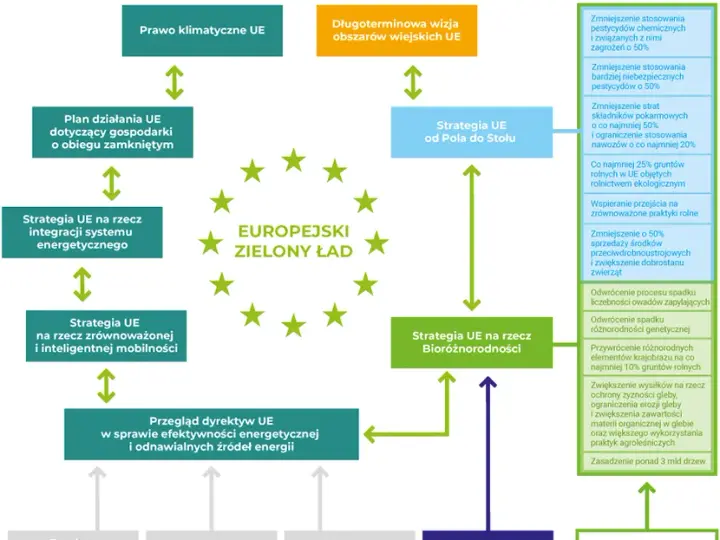 Co to jest zielony ład i jak wpłynie na przyszłość Europy?