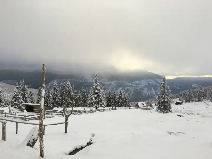 Zimowy krajobraz w czeskich Karkonoszach. Śnieg pokrywa drzewa i polany, a w oddali widać góry.