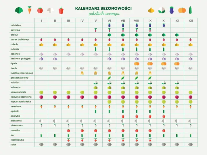 Kiedy jest sezon na groszek? Sprawdź, by nie przegapić świeżych zbiorów