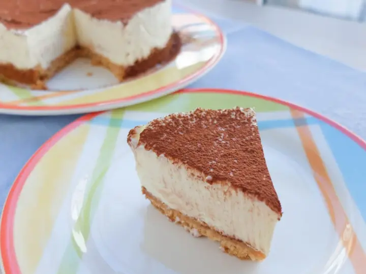 Deliciosa tarta de queso sin horno, cubierta de cacao, servida en un plato colorido.