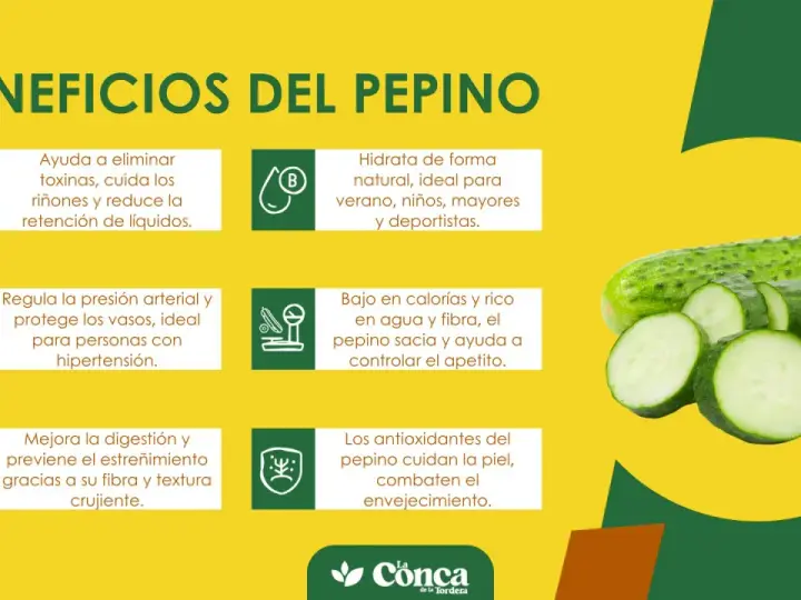 Beneficios del pepino: hidrata, ayuda a eliminar toxinas, regula la presión, mejora digestión y cuida la piel. ¡Un aliado para tu salud!