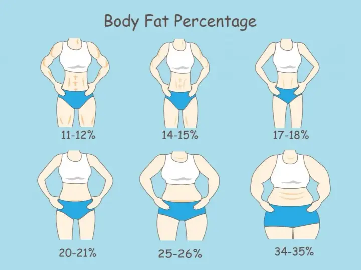 Ilustracja pokazuje różne poziomy procentu tkanki tłuszczowej u kobiet, od 11-12% (bardzo szczupła) do 34-35% (otyłość).
