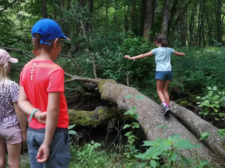 Une joyeuse randonnée avec enfants dans une forêt luxuriante. Une jeune fille traverse un tronc d'arbre tombé, tandis que deux autres enfants l'observent.