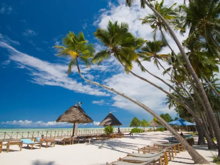 Ile trwa lot z Poznania na Zanzibar? Zaskakujące czasy przesiadek
