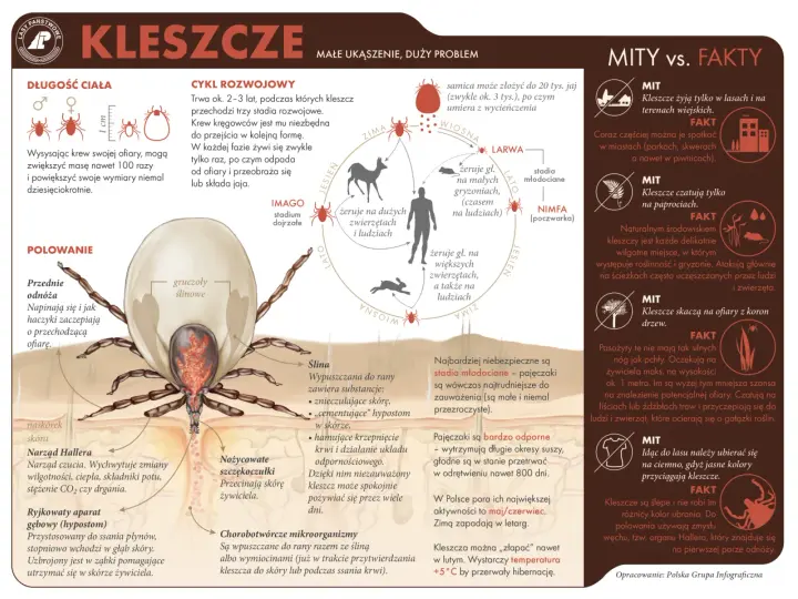 Kleszcz? Jak usunąć bezpiecznie i uniknąć boreliozy!