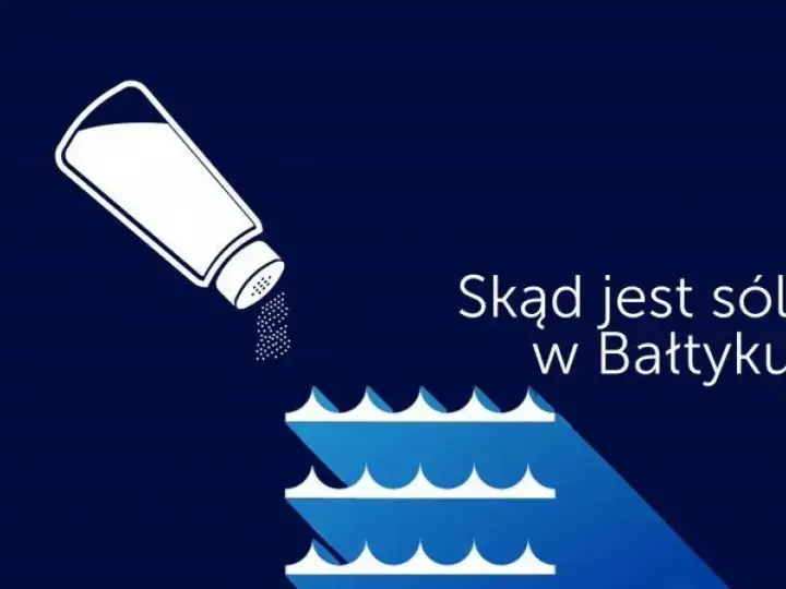 Dlaczego Bałtyk jest słabo zasolony? Odkryj zaskakujące przyczyny