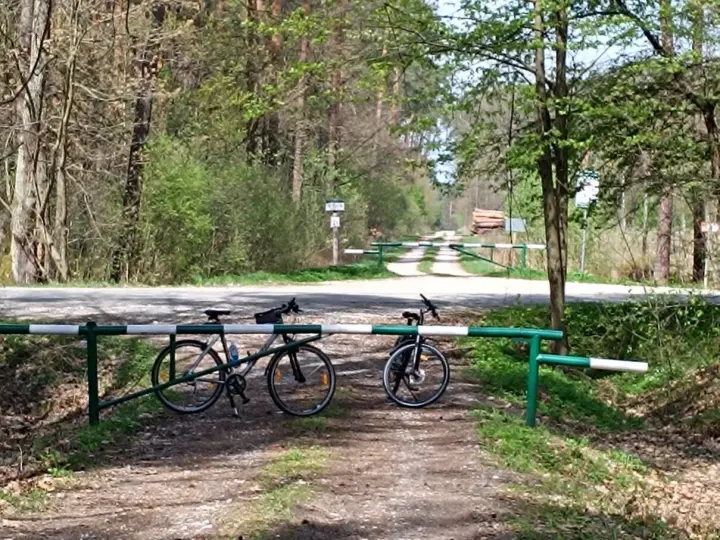 Dwa rowery czekają na odkrycie malowniczych tras rowerowych w Tarnowie. Leśna droga zaprasza do przygody.