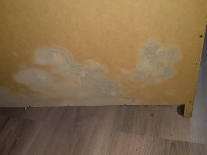 Plamy pleśni w szafie zabudowanej, rozprzestrzeniające się na płycie meblowej.