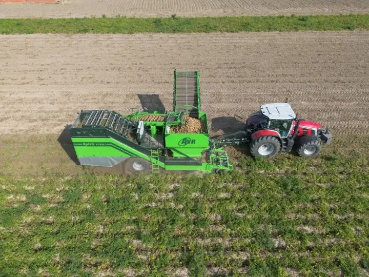 Kombajn AVR Spirit 9200 zbiera ziemniaki na polu. Czerwony traktor ciągnie maszynę, która wypełnia się plonami.