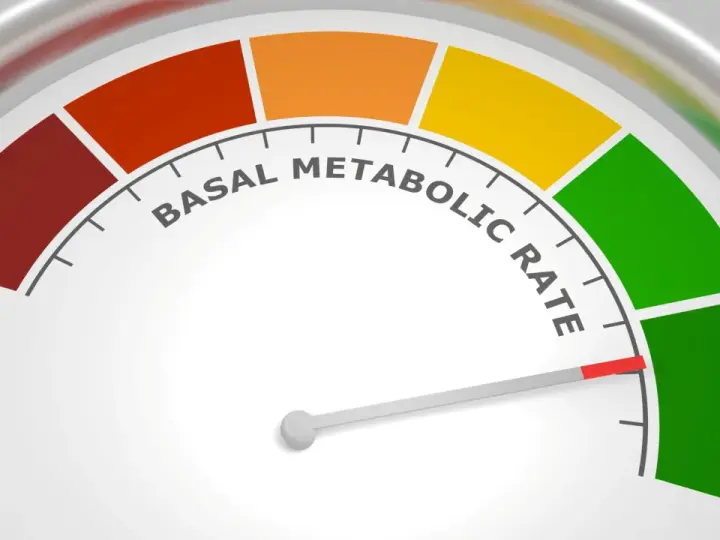 Wskaźnik tempa metabolizmu spoczynkowego. Czerwony obszar sugeruje, co to choroba metaboliczna, zielony to optymalny wynik.