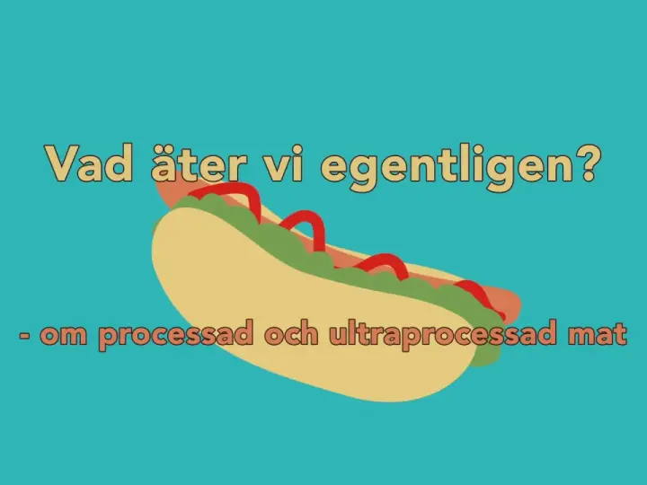En illustration av en korv med bröd, med texten "Vad äter vi egentligen? - om processad och ultraprocessad mat".