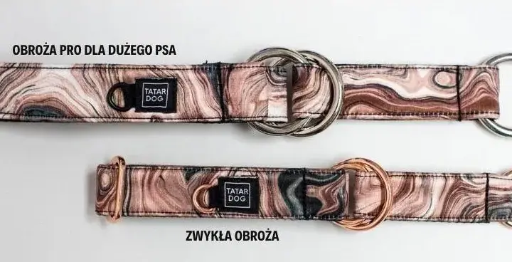 Jaką obrożę dla cane corso wybrać, aby zapewnić mu komfort?