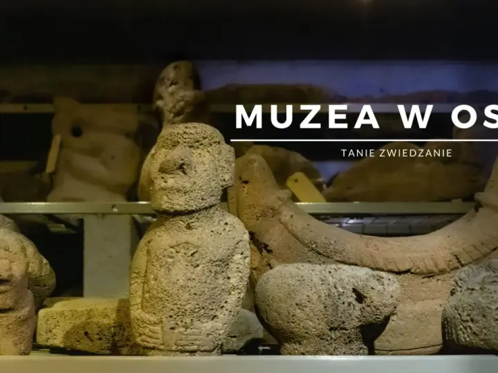 Kamienne figury i artefakty w muzeum w Oslo. Tanie zwiedzanie.