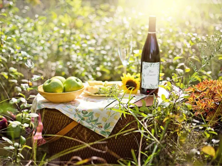 Piknik z jabłkami i winem domowym. Idealne składniki, by dowiedzieć się, jak zrobić wino z jabłek.