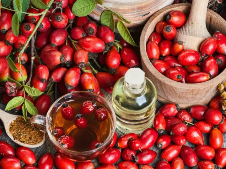 Frische Hagebutten, Tee, Öl und getrocknete Früchte – alles für leckere Hagebutten Rezepte.
