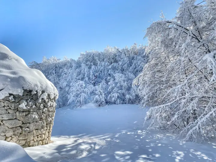 Muro di pietra innevato vicino a un bosco incantato, un vero passo lanciano di bellezza invernale sotto un cielo azzurro.