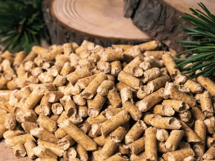 Gros tas de granulés de bois, parfaits pour la consommation pellet maison 80m2. Des branches de pin et des rondins de bois en arrière-plan.