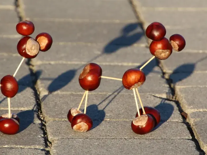 Figuras hechas con castañas y palillos, una divertida manualidad castaña que parece una molécula o un robot.