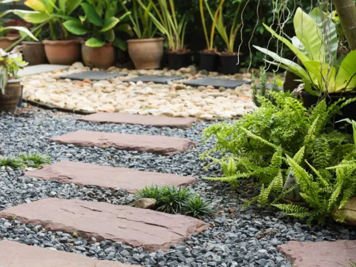 Schrittplatten führen durch einen Kiesgarten. Ein Steingarten anlegen wird hier mit Farnen und Gräsern umgesetzt.