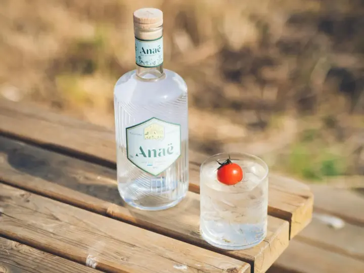Butelka ginu Anaë i szklanka z lodem i pomidorkiem. Ten gin z Francji, z czego jest gin? Z natury.