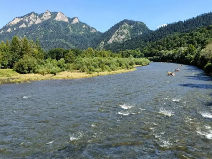 Rzeka Dunajec z tratwami i górami w tle.