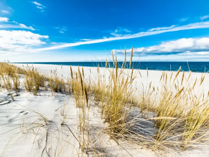 Piasek, trawy morskie i błękitne niebo nad Bałtykiem – to jedne z najpiękniejszych plaż w Polsce.