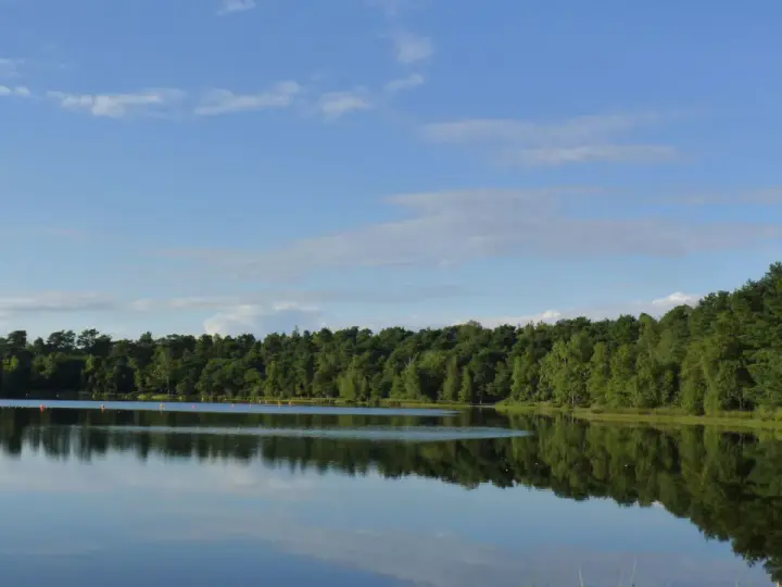 Idyllischer Bullensee in Rotenburg, umgeben von dichtem grünen Wald, spiegelt sich im ruhigen Wasser unter blauem Himmel mit Wolken.