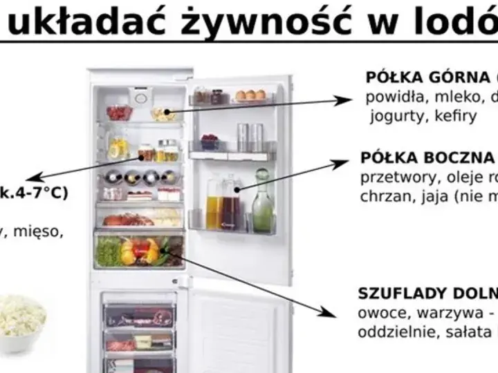 Otwarta lodówka z zaznaczonymi półkami i produktami spożywczymi, obok ryba i miska z twarożkiem.