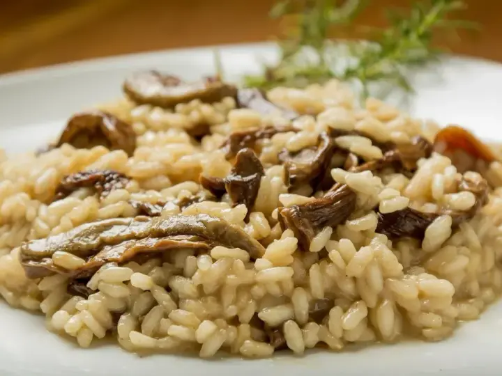Kremowe risotto z grzybami na białym talerzu, ozdobione gałązką rozmarynu.