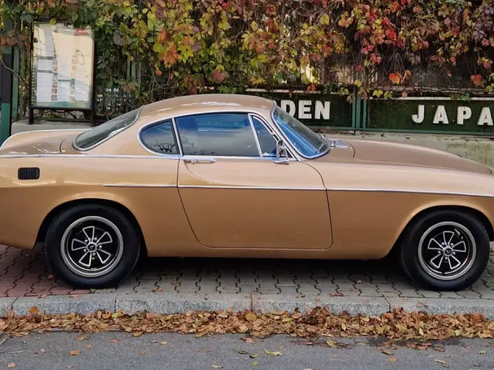 Klasyczny Volvo P1800 w kolorze złotym, zaparkowany na tle jesiennych liści i zielonego płotu z napisem "JAPAN".