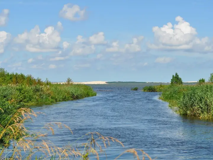 Spokojne jezioro na wybrzeżu słowińskim, otoczone zielenią i trzcinami, z piaszczystymi wydmami w oddali pod błękitnym niebem.