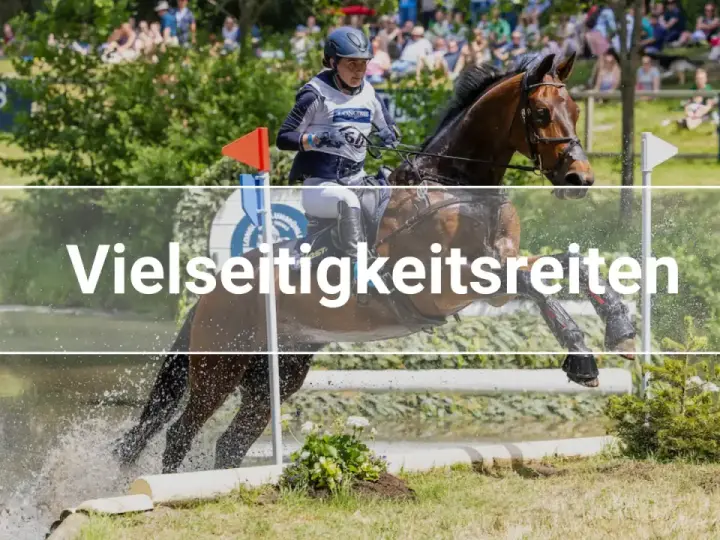 Ein Reiter und sein Pferd überwinden einen Wassergraben bei einem Vielseitigkeitsreiten-Wettbewerb.