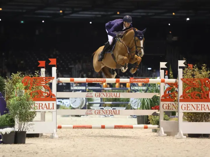 Un cavalier allemand CSO saute un obstacle dans une arène intérieure, sous les lumières vives.
