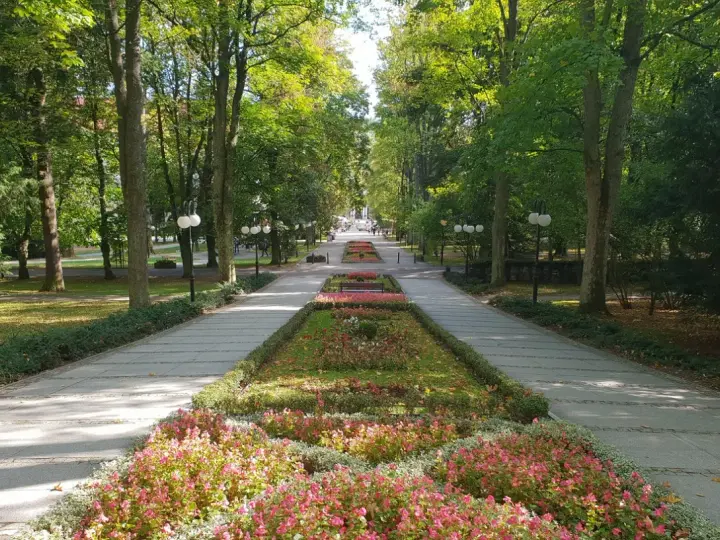 Aleja spacerowa w Polanicy Zdrój z kwitnącymi rabatami i drzewami. Idealne miejsce na relaks i podziwianie atrakcji uzdrowiska.