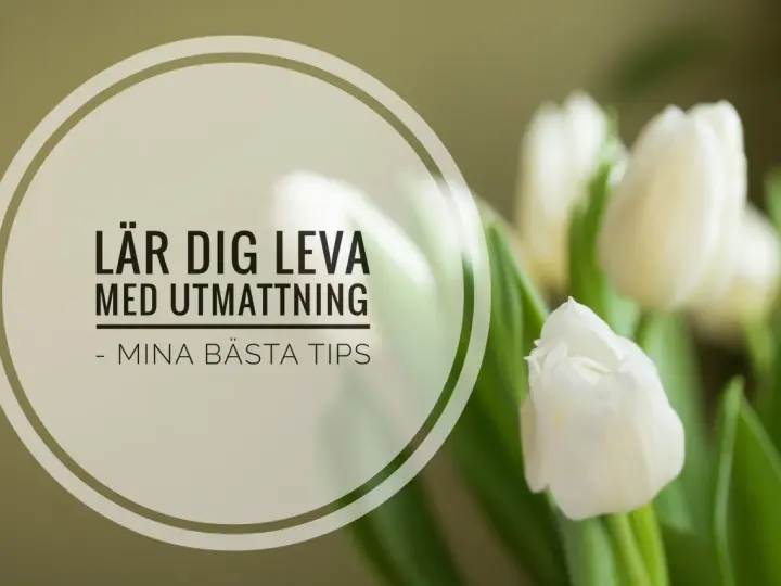 Vita tulpaner och texten "Lär dig leva med utmattning - mina bästa tips". En påminnelse om att ta hand om sig själv, särskilt vid utmattningssyndrom och sjukskrivning.