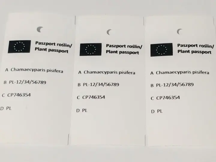 Ile kosztuje paszport roślin? Zaskakujące opłaty i wyjątki