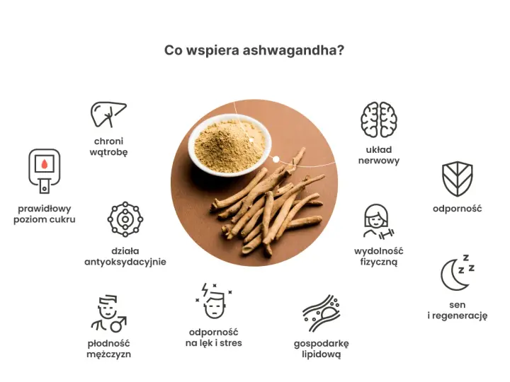 Ashwagandha wspiera: prawidłowy poziom cukru, wątrobę, układ nerwowy, odporność, wydolność fizyczną, sen, płodność, gospodarkę lipidową i działa antyoksydacyjnie.