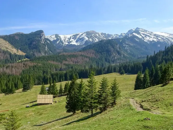 Tatry z zieloną halą, lasem i ośnieżonymi szczytami w tle. Drewniana chata.