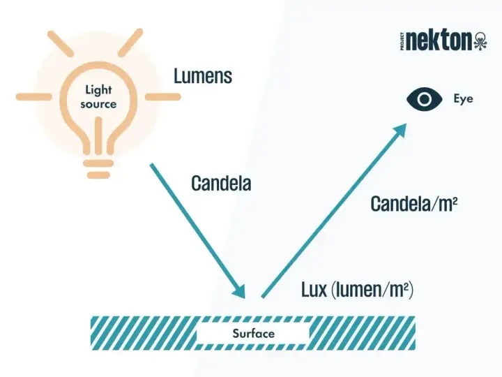 Schemat wyjaśnia, jak światło z żarówki (lumeny) pada na powierzchnię, tworząc natężenie oświetlenia w luksach (lumenów na m²), które dociera do oka.
