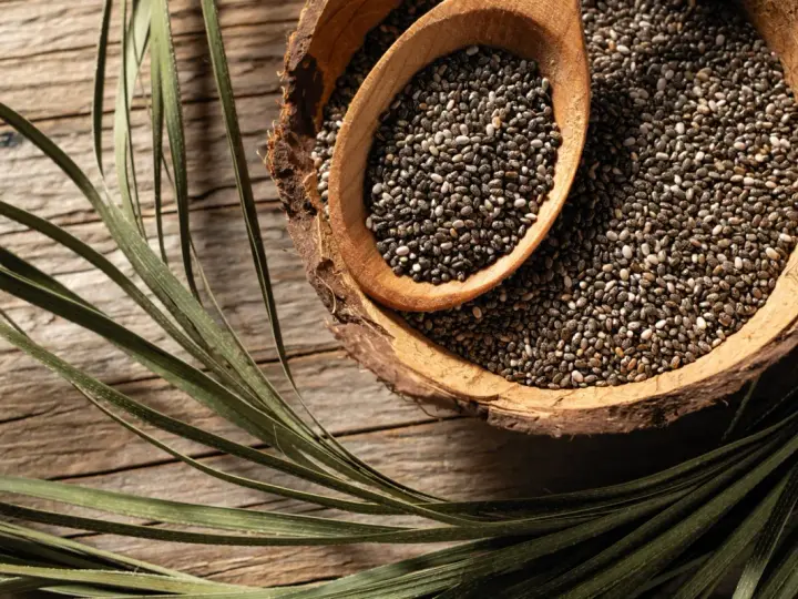Graines de chia dans une écorce de noix de coco, une cuillère en bois remplie de ces petites graines. Un aliment idéal pour une femme enceinte.