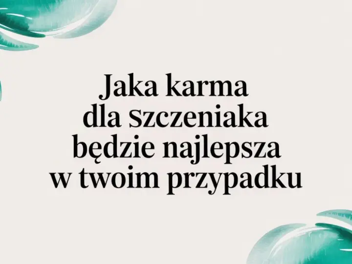 Karma dla szczeniaka: wybierz mądrze! Zdrowy start na całe życie